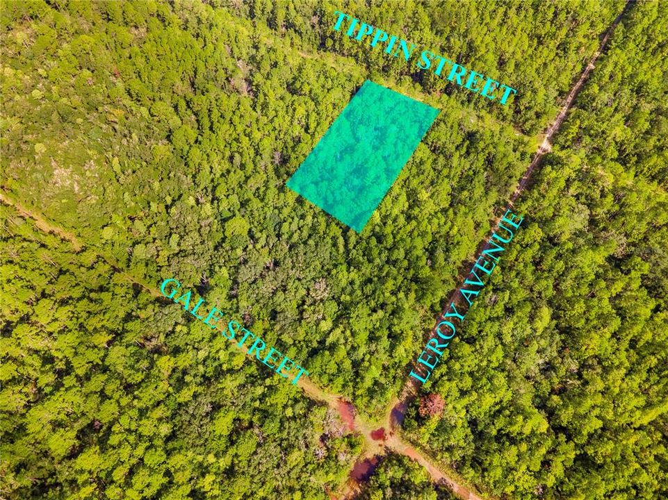 待售: $29,977 (1.25 acres)