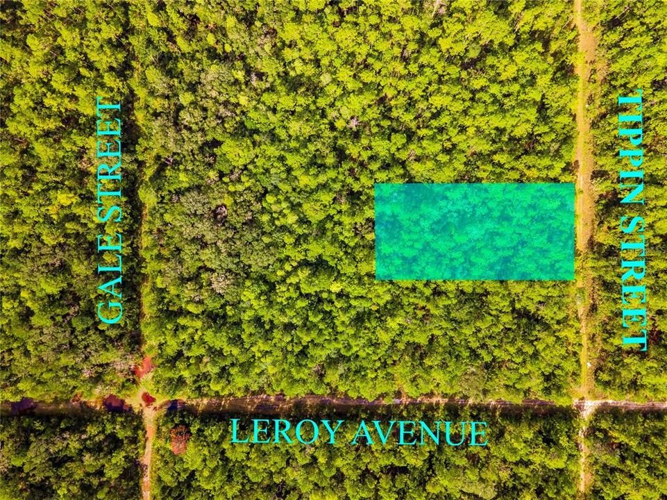 待售: $29,977 (1.25 acres)