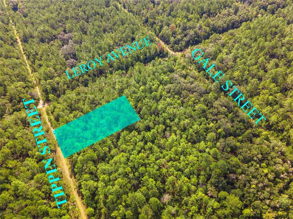 待售: $29,977 (1.25 acres)