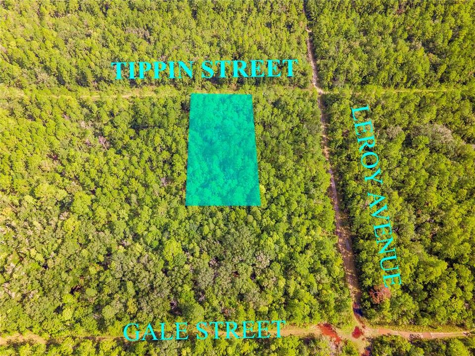 待售: $29,977 (1.25 acres)