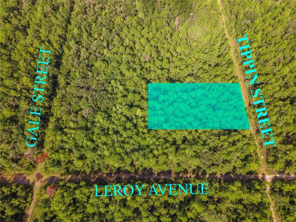 待售: $29,977 (1.25 acres)