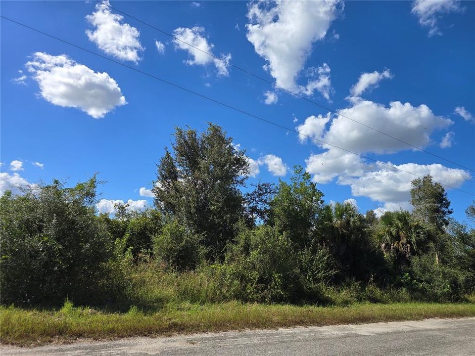 For Sale: $25,800 (0.23 acres)