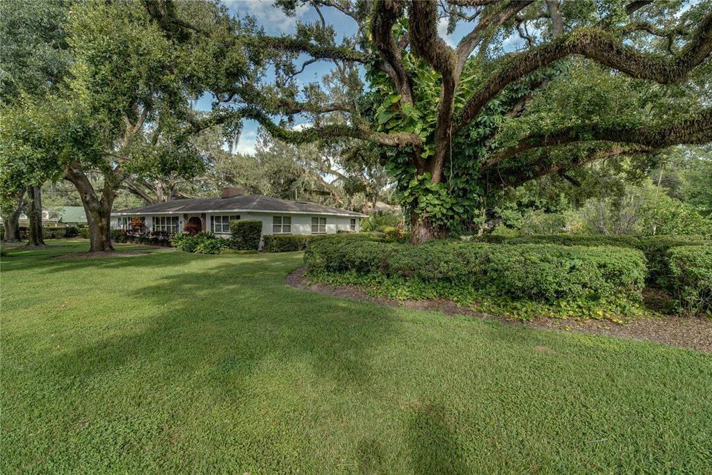 待售: $1,800,000 (3 贝兹, 2 浴室, 3507 平方英尺)