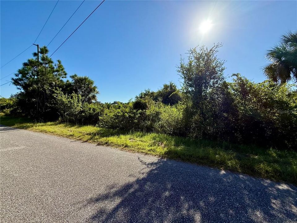 For Sale: $19,999 (0.23 acres)