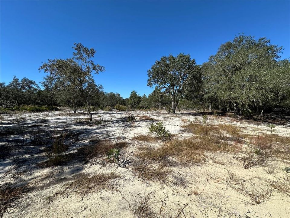 待售: $18,700 (1.25 acres)