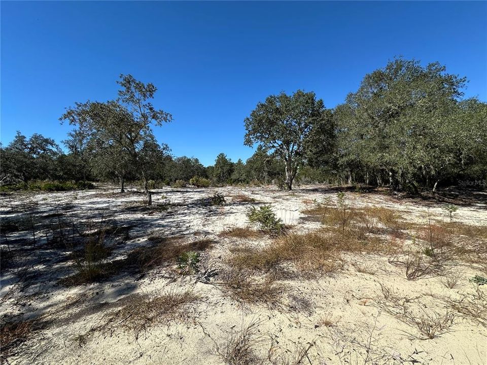 待售: $18,700 (1.25 acres)