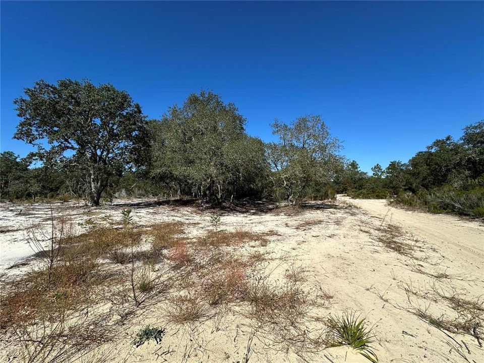 待售: $18,700 (1.25 acres)