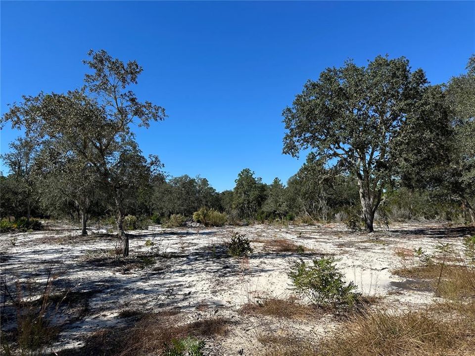 待售: $18,700 (1.25 acres)