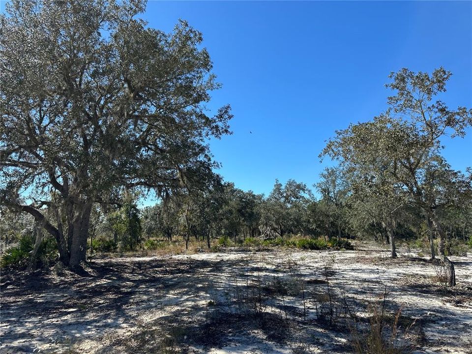 待售: $18,700 (1.25 acres)