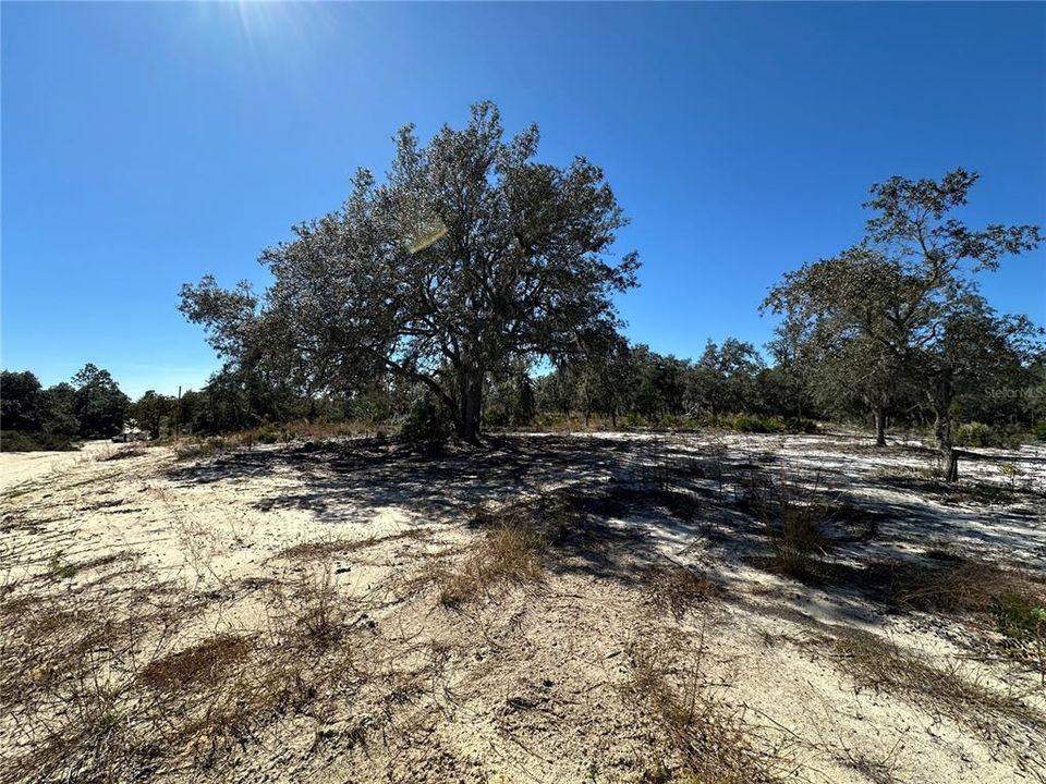 待售: $18,700 (1.25 acres)