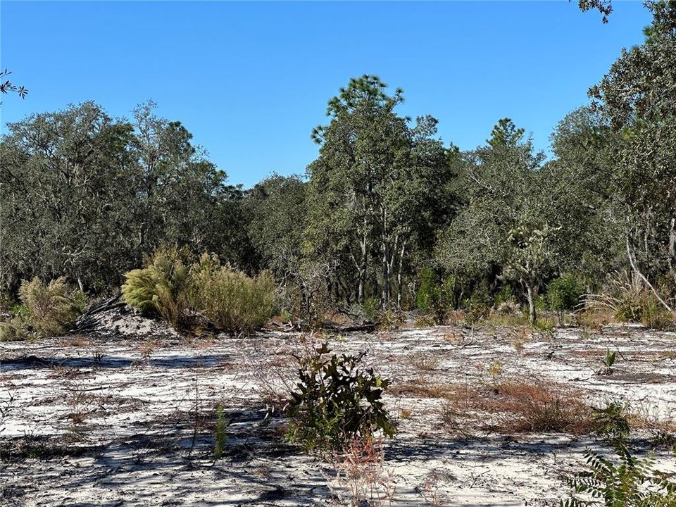 待售: $18,700 (1.25 acres)