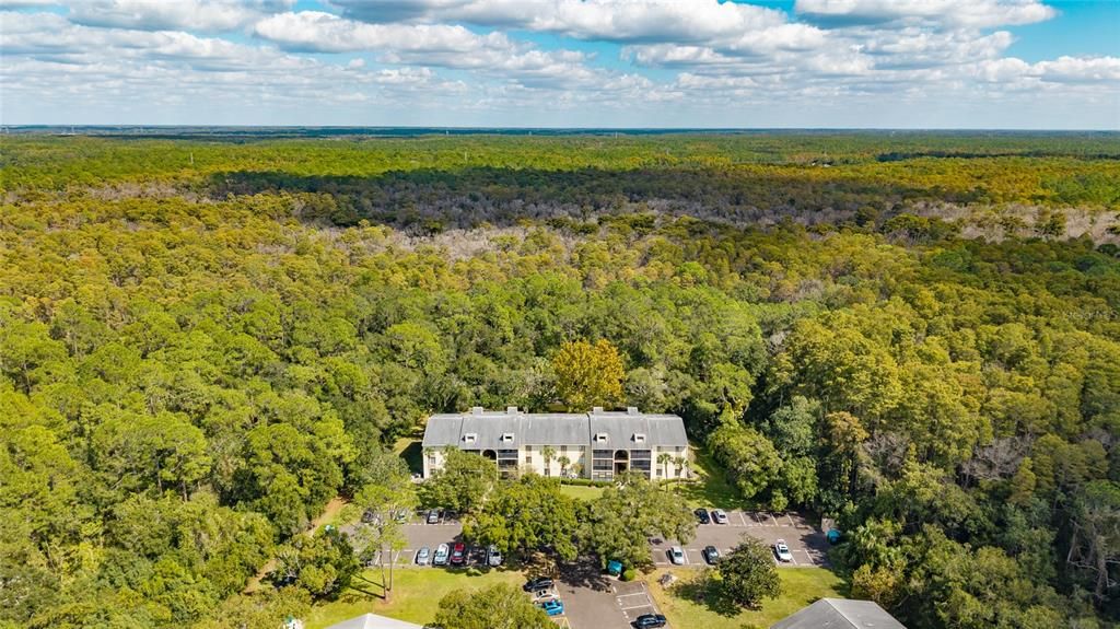 For Sale: $179,000 (2 beds, 2 baths, 979 Square Feet)