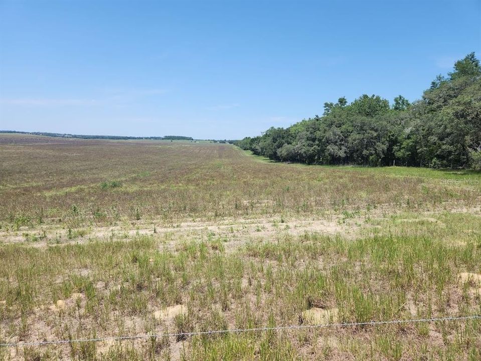 待售: $44,900 (1.02 acres)