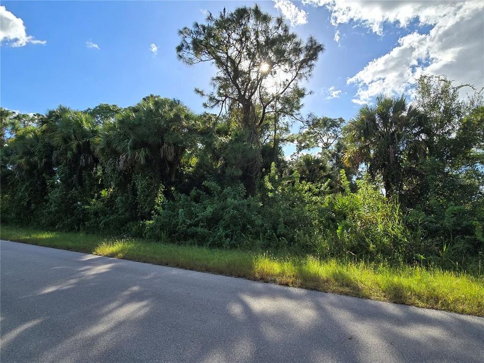 For Sale: $24,000 (0.23 acres)