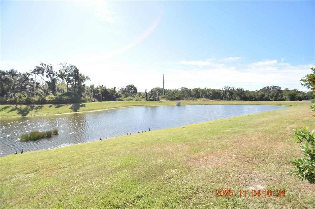 For Rent: $3,195 (5 beds, 3 baths, 3834 Square Feet)