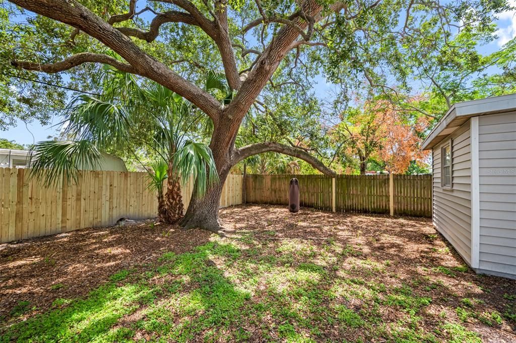 For Rent: $2,600 (4 beds, 2 baths, 1560 Square Feet)