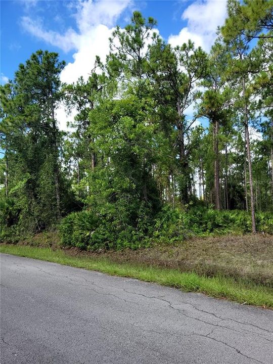 На продажу: $27,000 (0.25 acres)