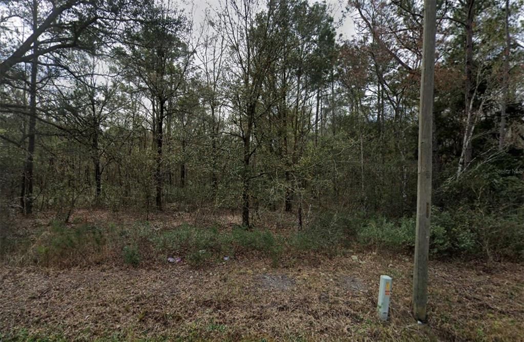 For Sale: $30,500 (1.14 acres)
