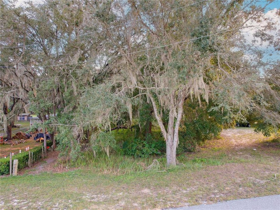 For Sale: $165,000 (1.45 acres)