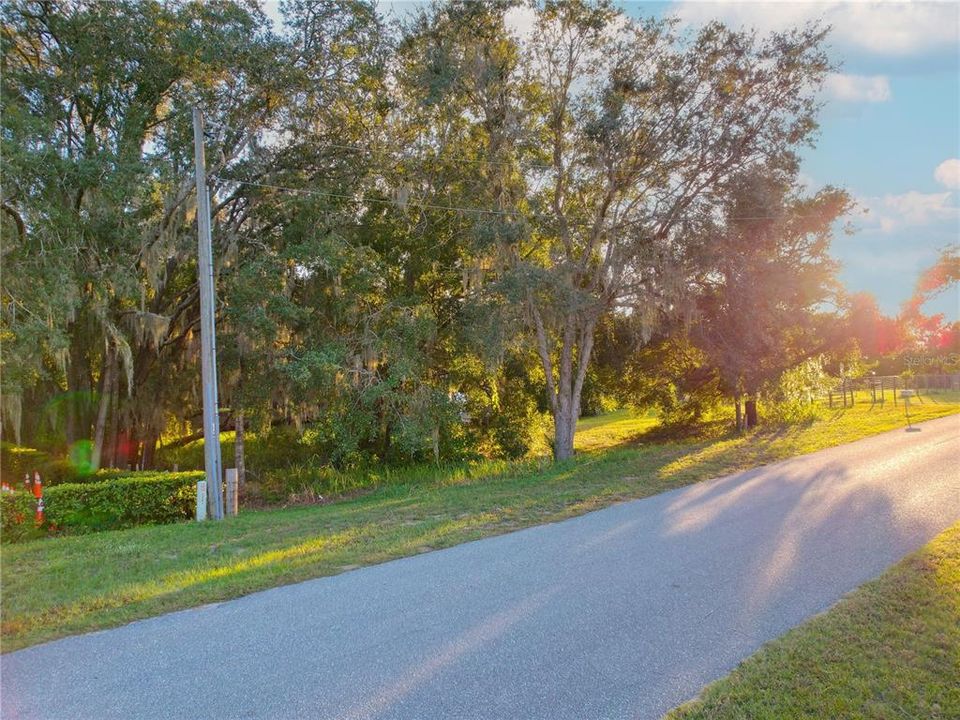 For Sale: $165,000 (1.45 acres)