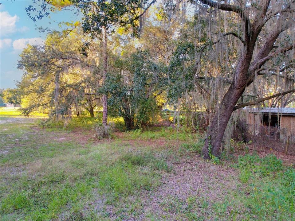 For Sale: $165,000 (1.45 acres)