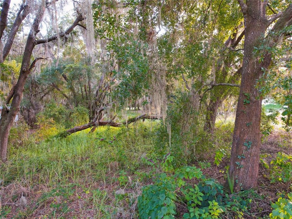 For Sale: $165,000 (1.45 acres)