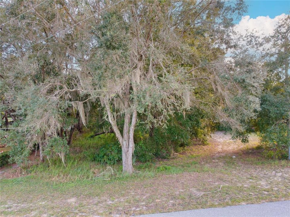 For Sale: $165,000 (1.45 acres)