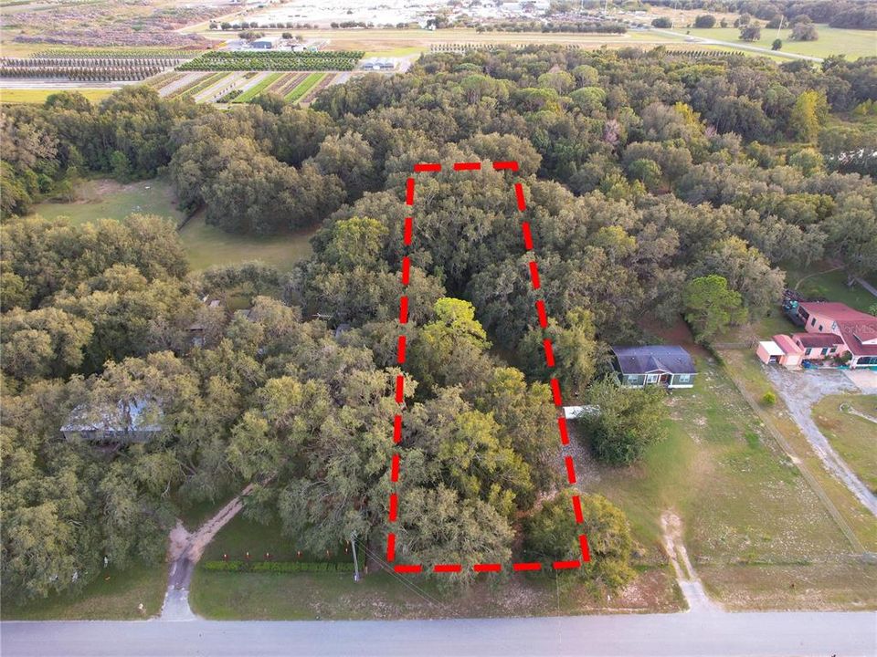 For Sale: $165,000 (1.45 acres)