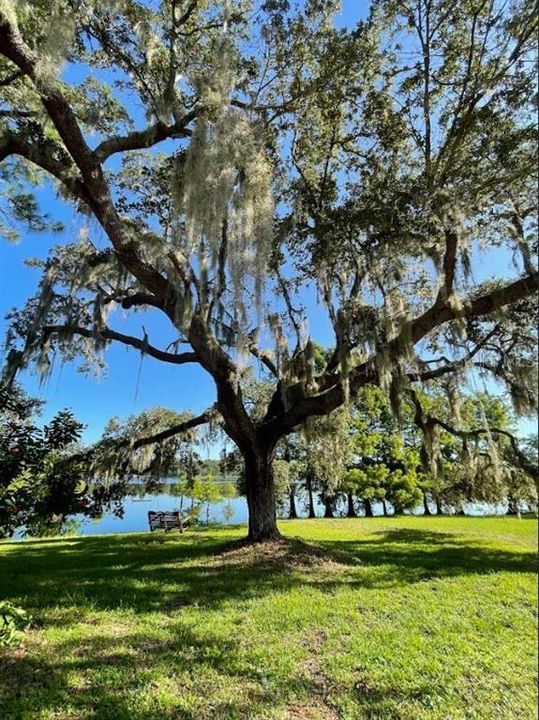 待售: $775,000 (2 贝兹, 2 浴室, 1380 平方英尺)