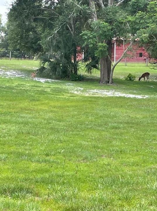 待售: $775,000 (2 贝兹, 2 浴室, 1380 平方英尺)