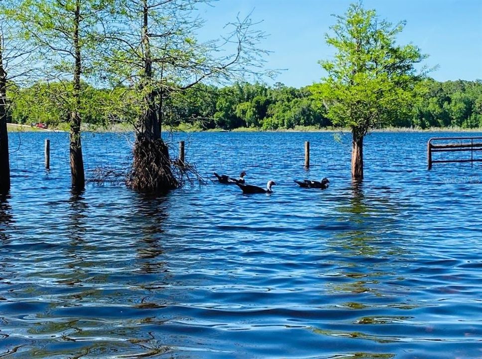 待售: $775,000 (2 贝兹, 2 浴室, 1380 平方英尺)