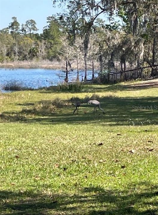 待售: $775,000 (2 贝兹, 2 浴室, 1380 平方英尺)