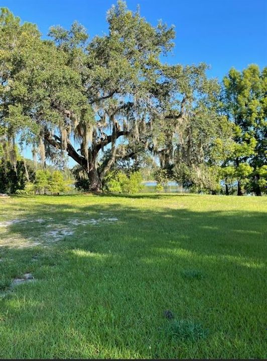 待售: $775,000 (2 贝兹, 2 浴室, 1380 平方英尺)