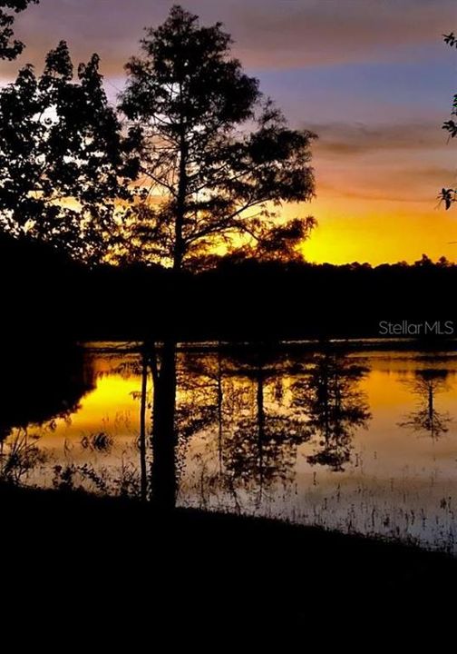 待售: $775,000 (2 贝兹, 2 浴室, 1380 平方英尺)