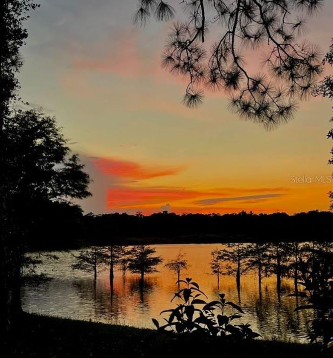 待售: $775,000 (2 贝兹, 2 浴室, 1380 平方英尺)