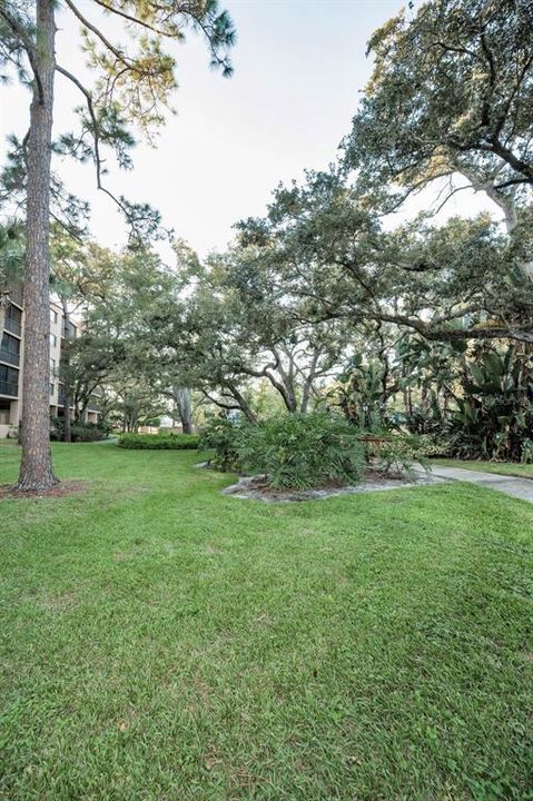 待售: $226,000 (2 贝兹, 2 浴室, 1250 平方英尺)