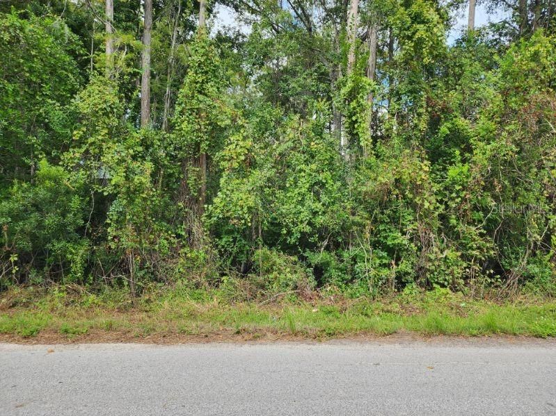 For Sale: $24,000 (0.38 acres)