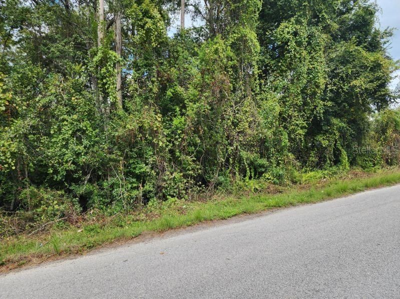 For Sale: $24,000 (0.38 acres)