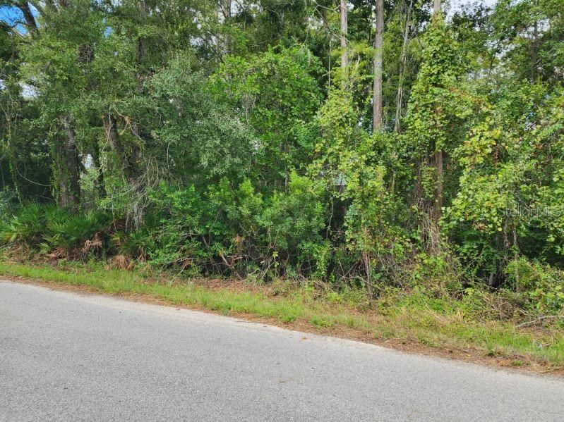 For Sale: $24,000 (0.38 acres)