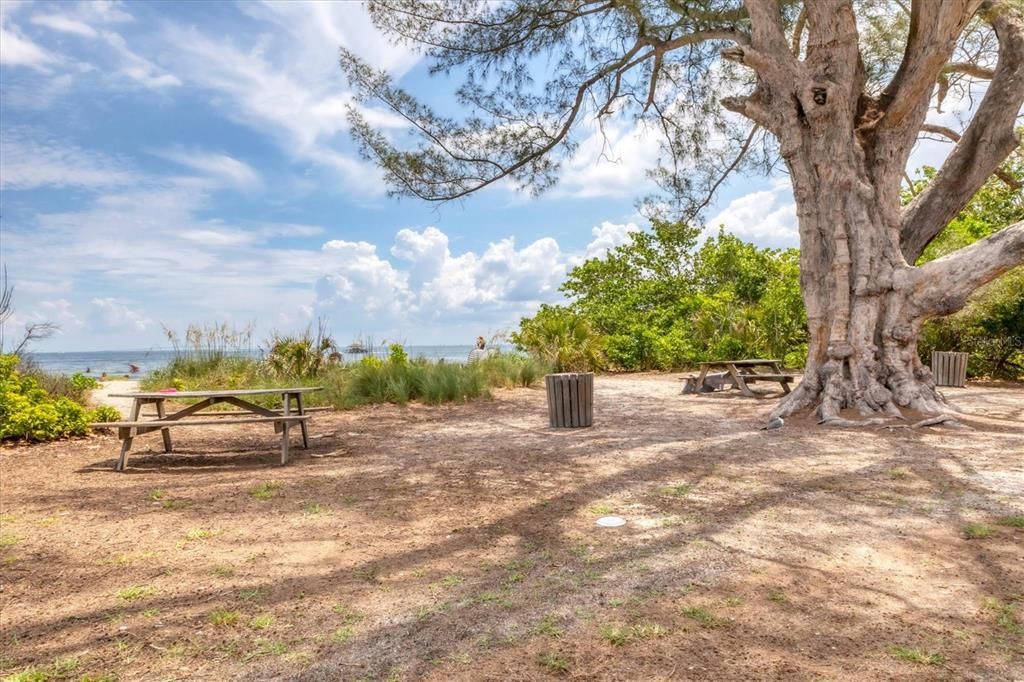 For Sale: $1,495,000 (4 beds, 3 baths, 3742 Square Feet)