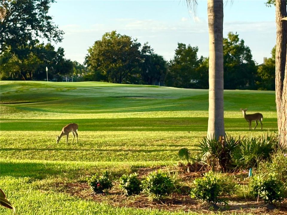 Active With Contract: $589,000 (3 beds, 2 baths, 1694 Square Feet)