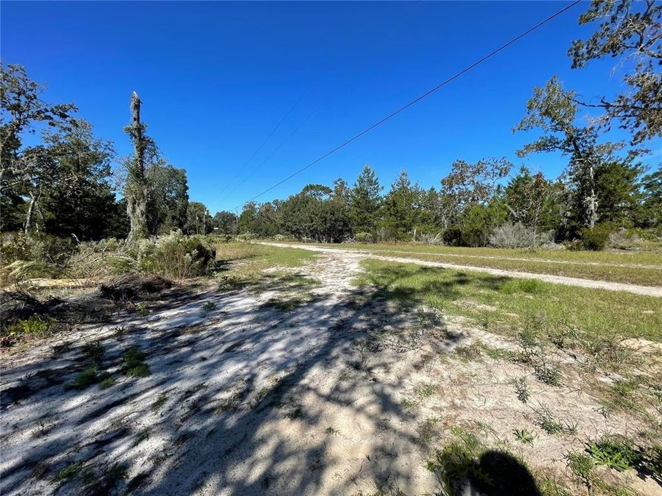 For Sale: $31,000 (1.25 acres)