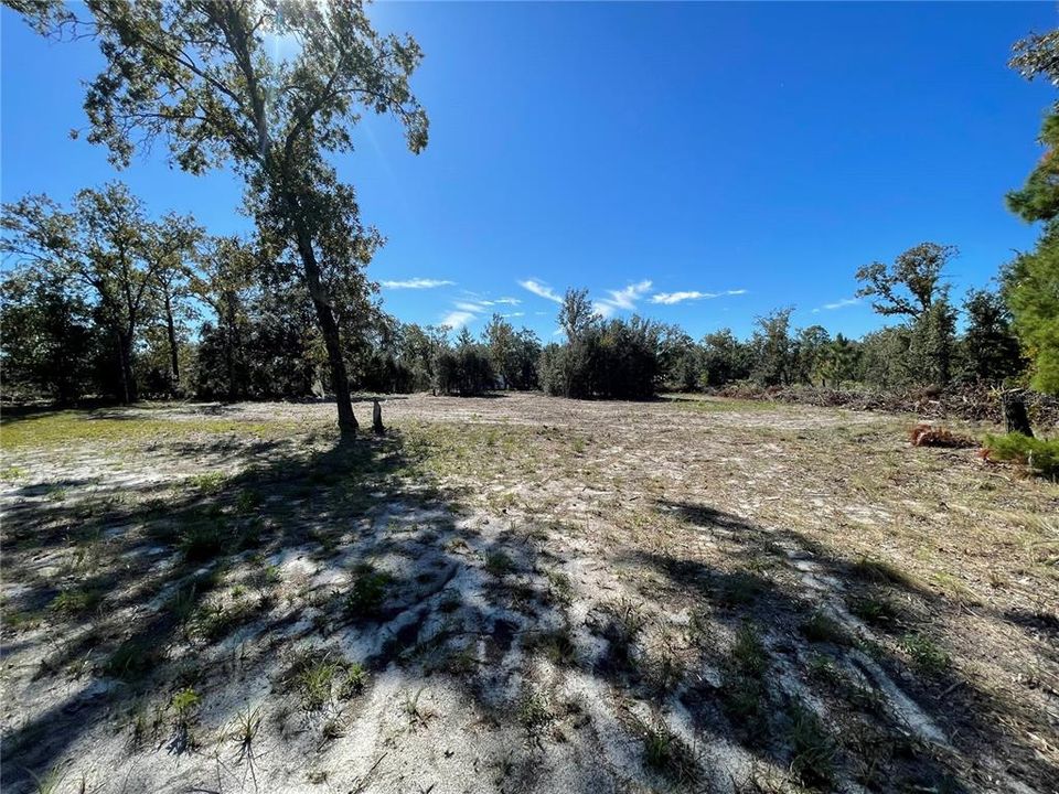 For Sale: $31,000 (1.25 acres)