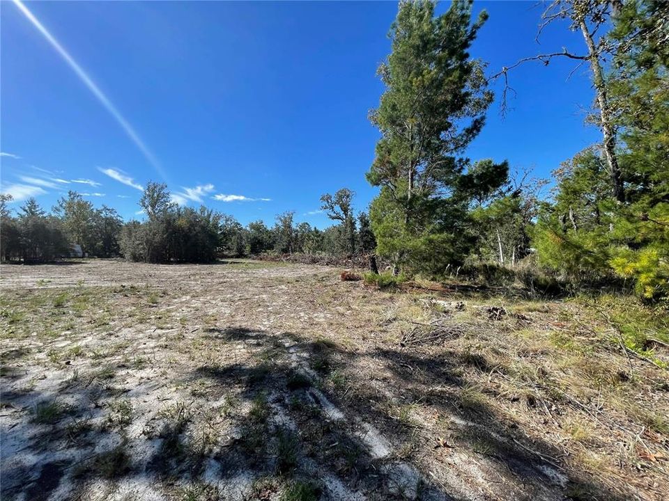 For Sale: $31,000 (1.25 acres)