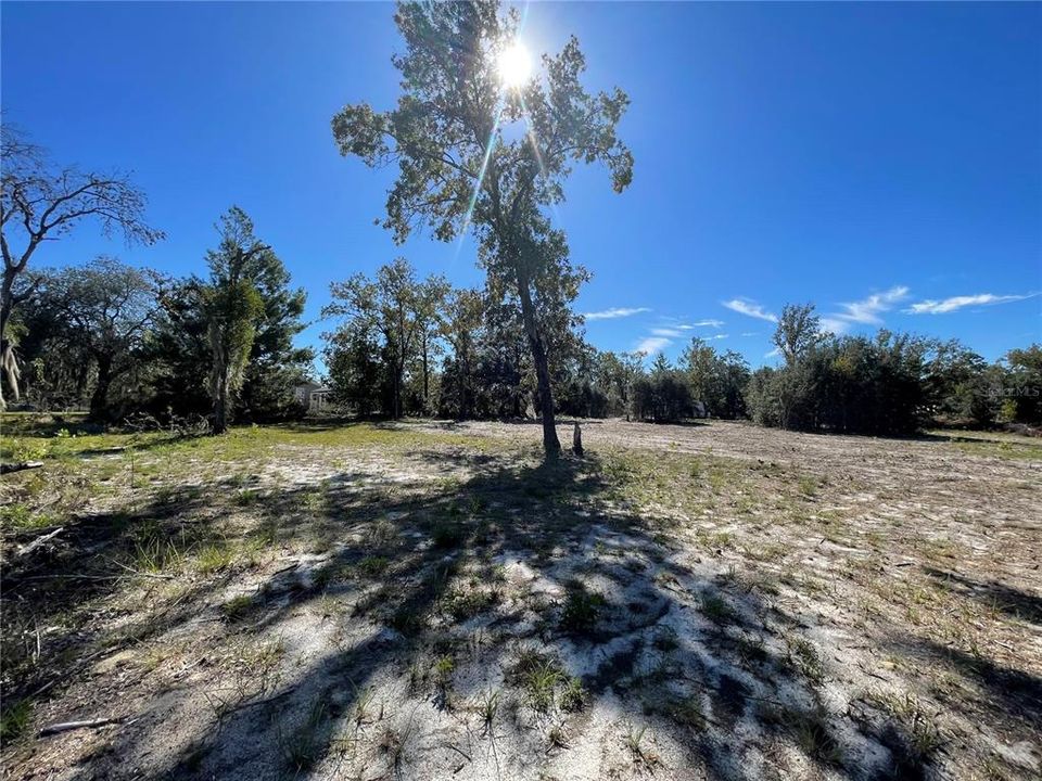 For Sale: $31,000 (1.25 acres)