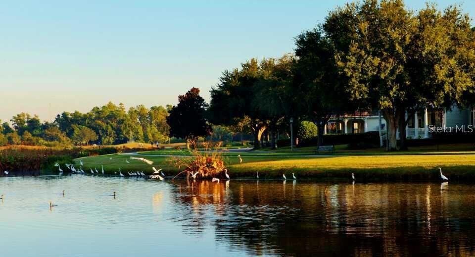 For Rent: $5,500 (4 beds, 3 baths, 3005 Square Feet)