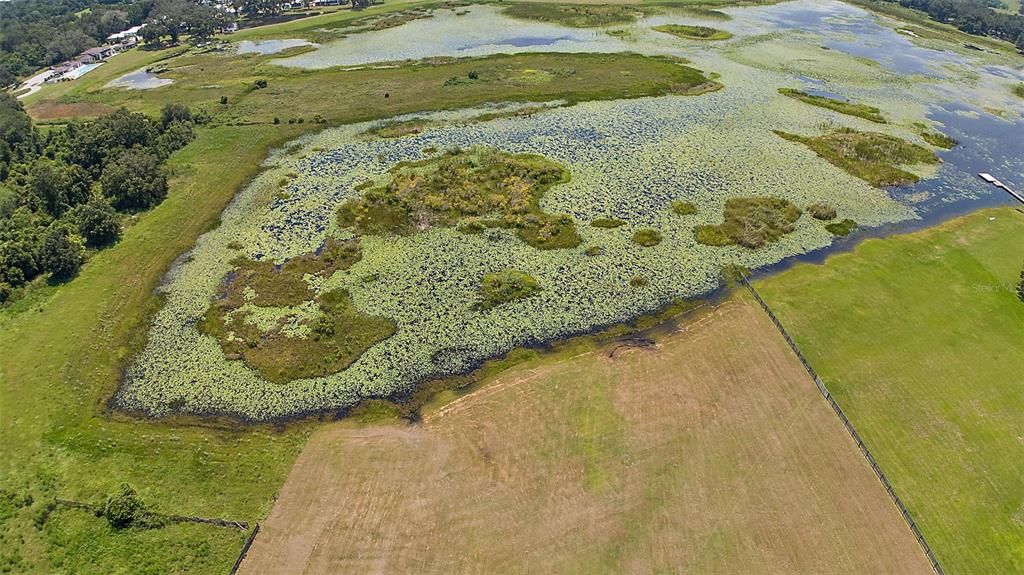 For Sale: $300,000 (10.05 acres)