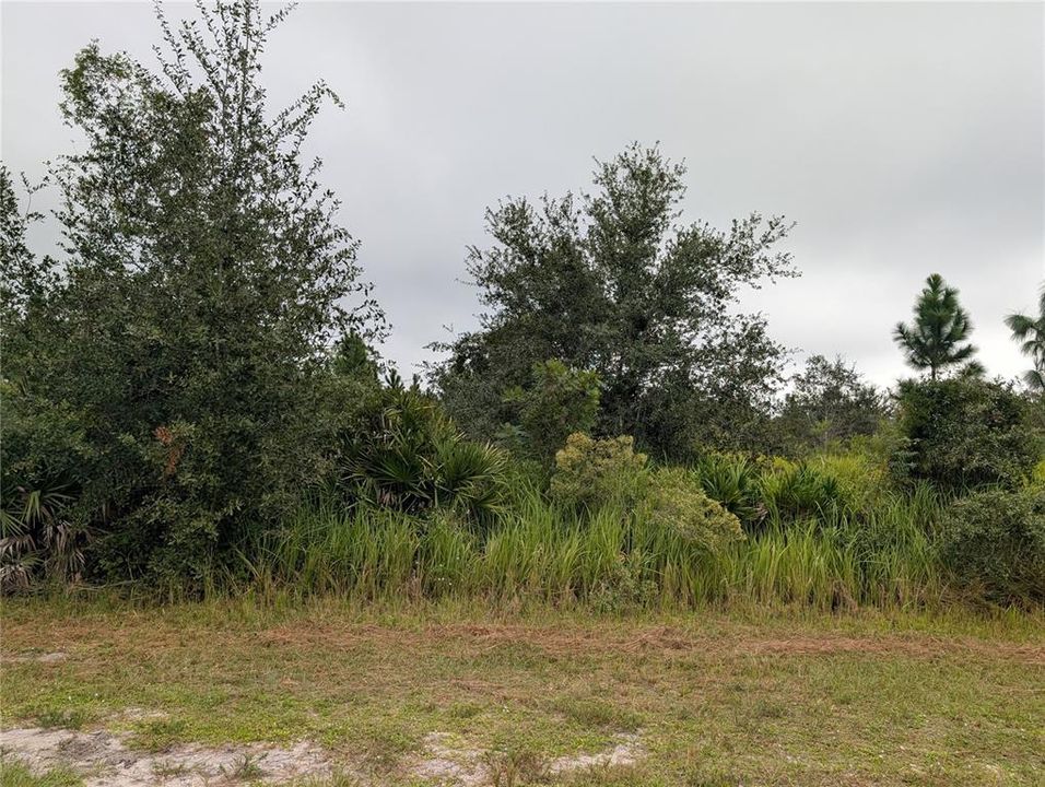 For Sale: $18,000 (0.50 acres)