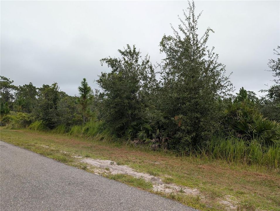 For Sale: $18,000 (0.50 acres)