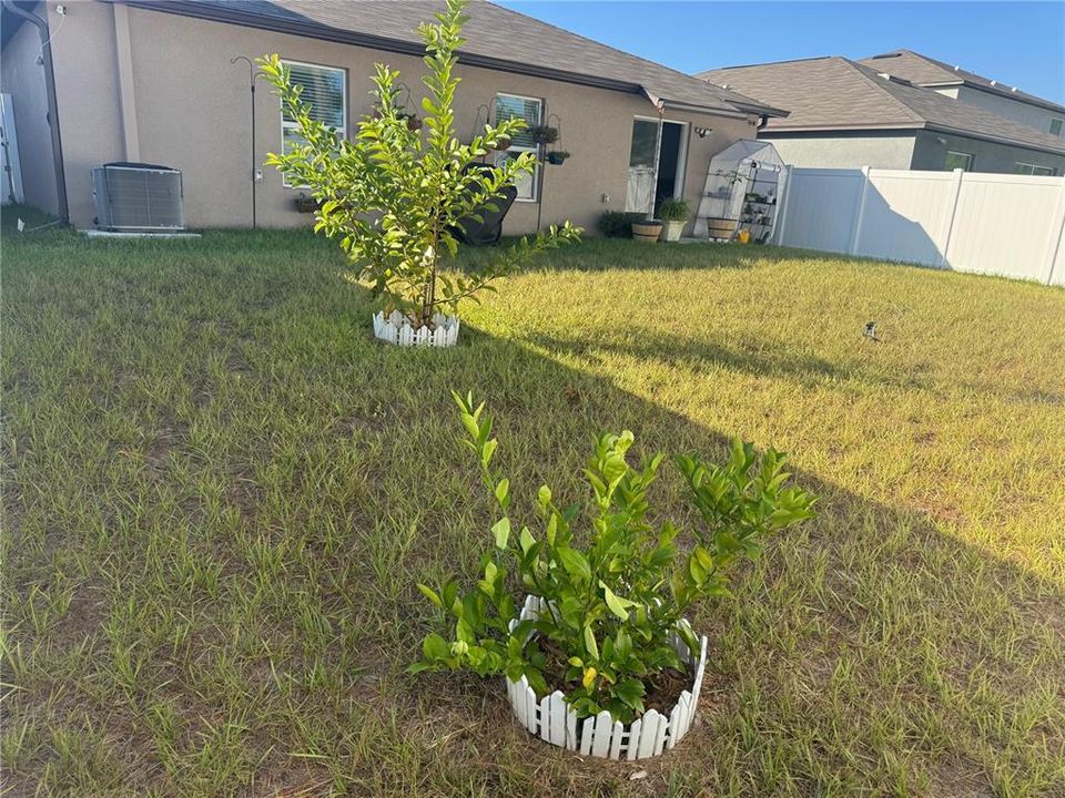 For Sale: $360,000 (4 beds, 2 baths, 1809 Square Feet)